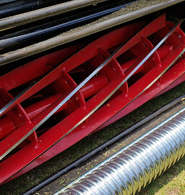 Image of 10 blade Red on a grassy surface