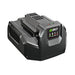 A black EGO CH2100E STANDARD battery charger with a digital display screen on the front, shown on a solid white background.