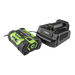 A cordless battery and its matching dual-port charger, both in black and bright green, shown on a solid white background.