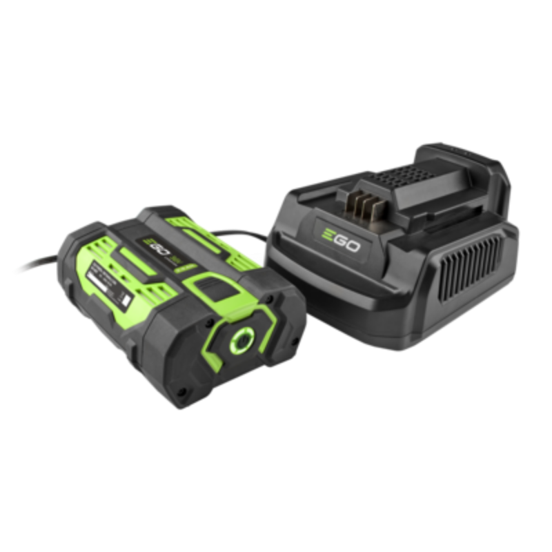 A cordless battery and its matching dual-port charger, both in black and bright green, shown on a solid white background.