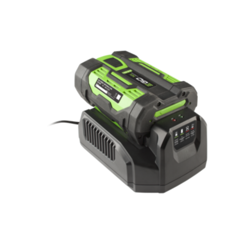 An EGO CH2100E STANDARD CHARGER dock, shown on a clean white background. The battery features a black and bright lime green design with the brand name 'ego' visible on the top surface.