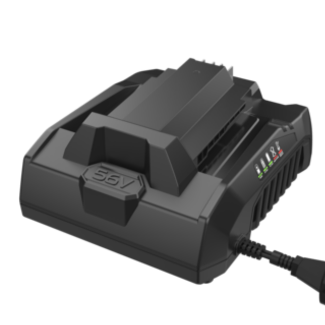 A black 36V dual-port battery charger with LED status indicators and a two-pin plug, shown on a solid white background.